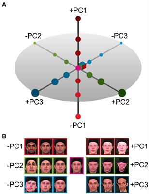 fMRI evidence that hyper-caricatured faces activate object-selective cortex